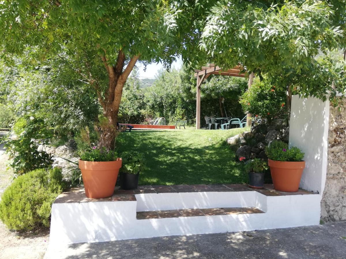 Casa Rural La Maquinilla Грасалема Экстерьер фото