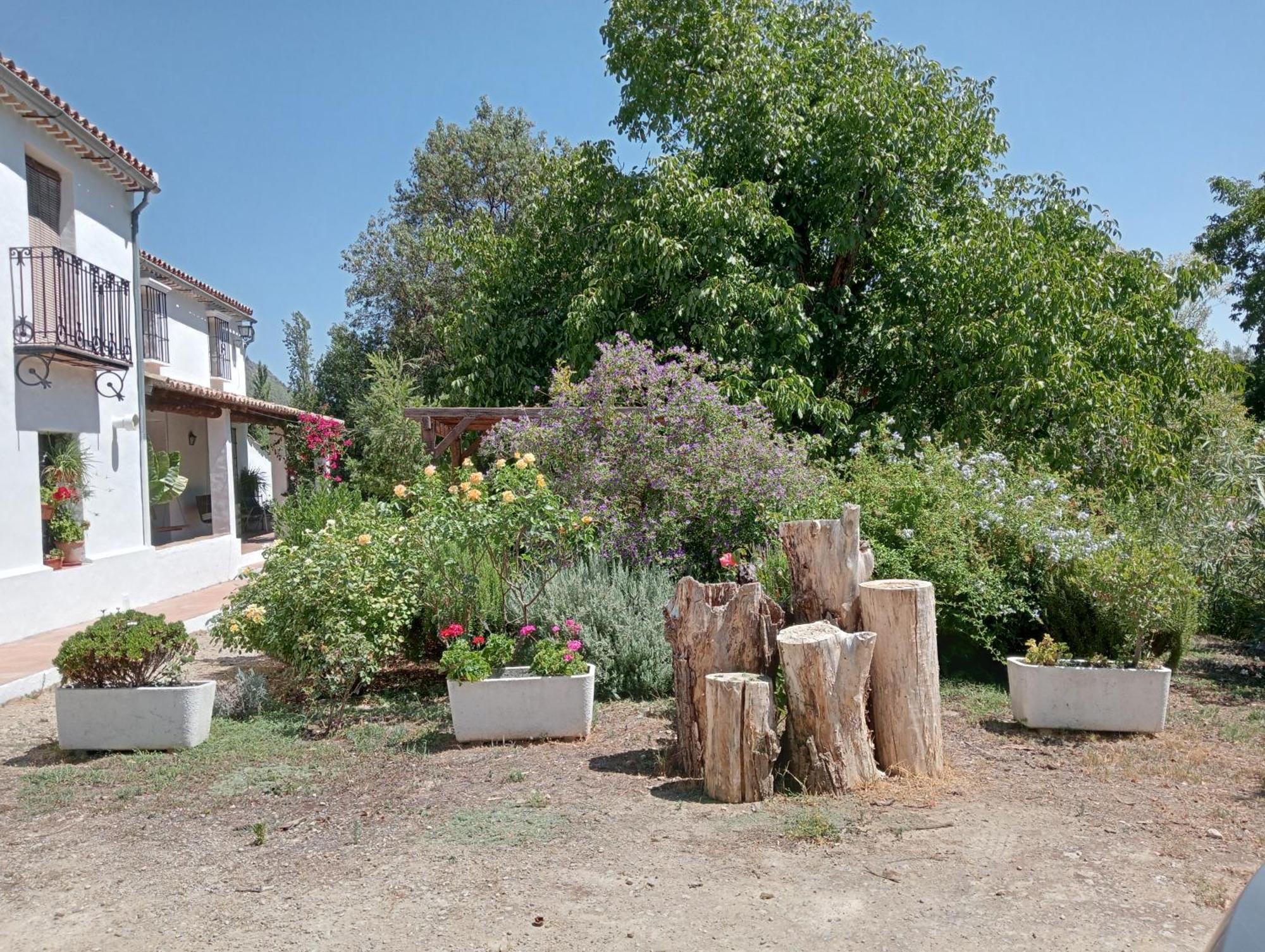 Casa Rural La Maquinilla Грасалема Экстерьер фото