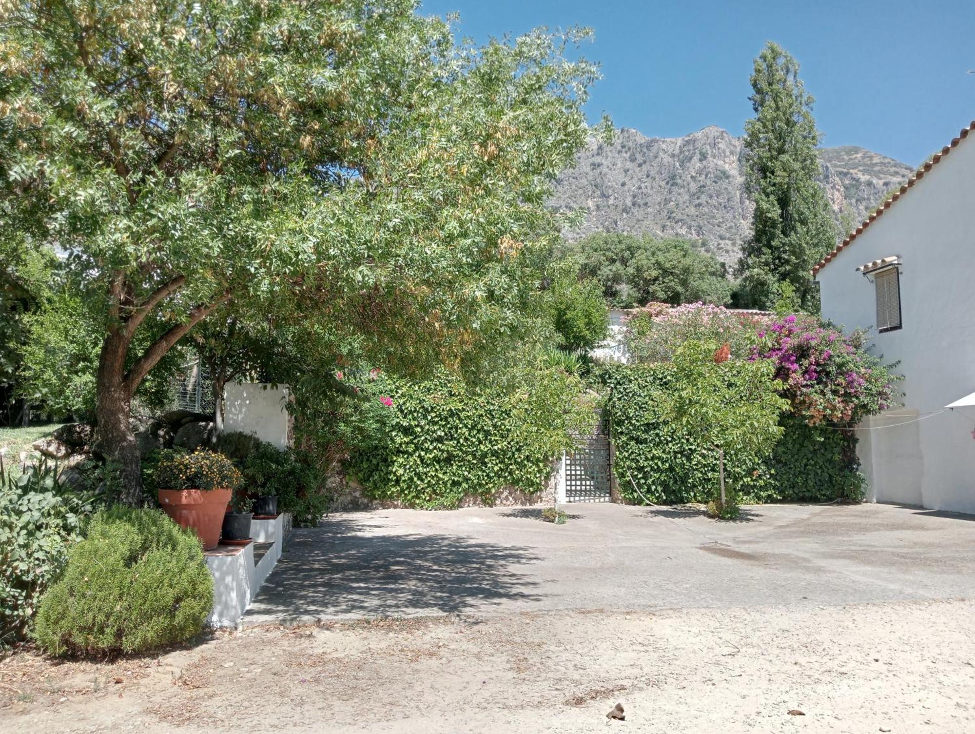 Casa Rural La Maquinilla Грасалема Экстерьер фото