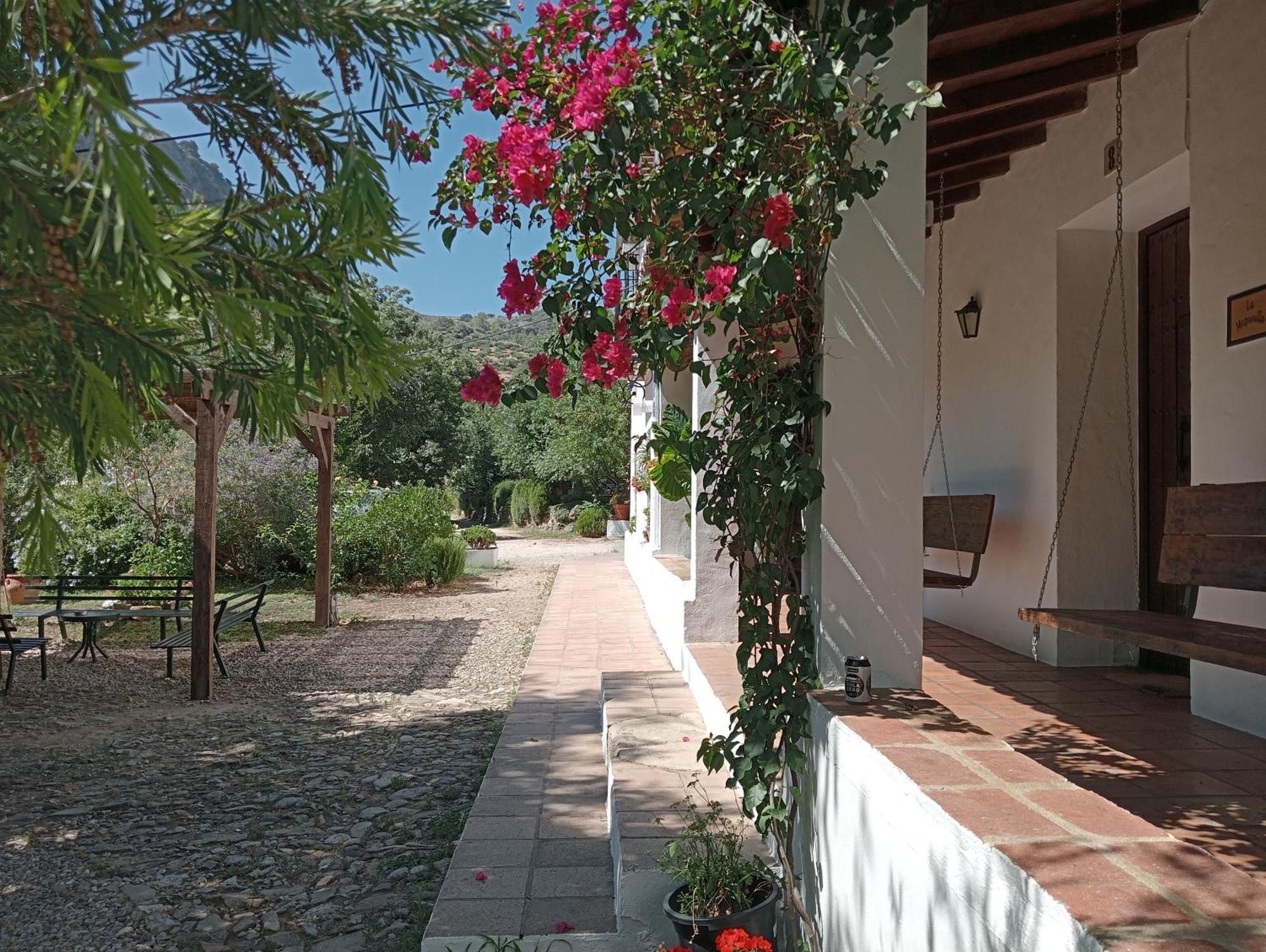 Casa Rural La Maquinilla Грасалема Экстерьер фото