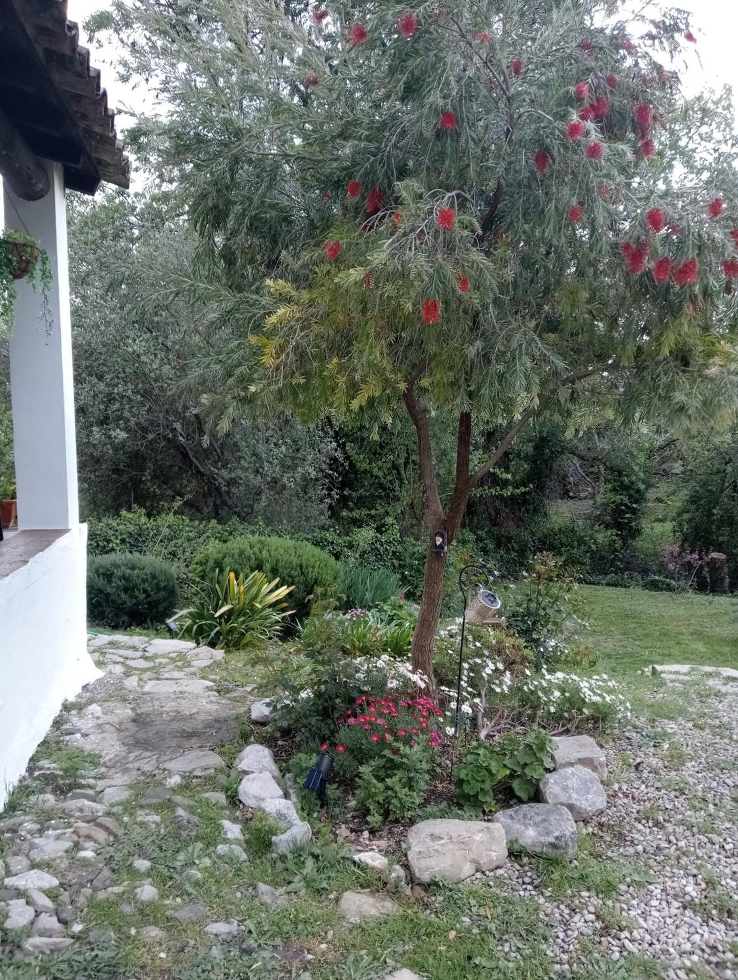 Casa Rural La Maquinilla Грасалема Экстерьер фото