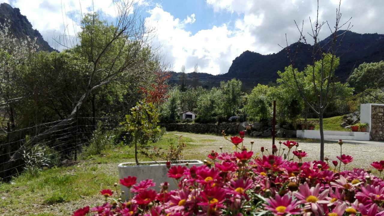 Casa Rural La Maquinilla Грасалема Экстерьер фото