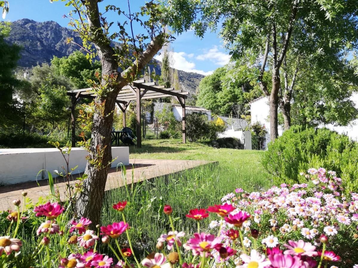 Casa Rural La Maquinilla Грасалема Экстерьер фото